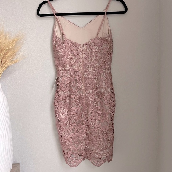 Express Lace Mini Cocktail Dress - Nude & Mauve - Size 00 - Picture 4 of 5